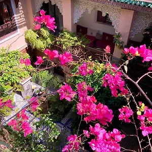 riad-toyour.hotelfesmorocco.com/